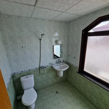 алми Almi スヴェティ・ヴラス