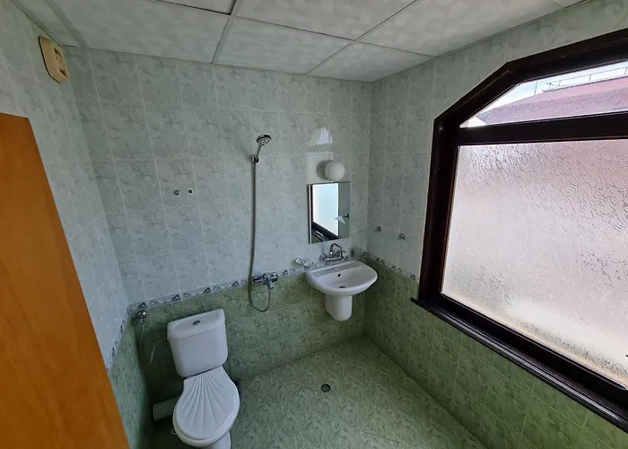 алми Almi Свети-Влас